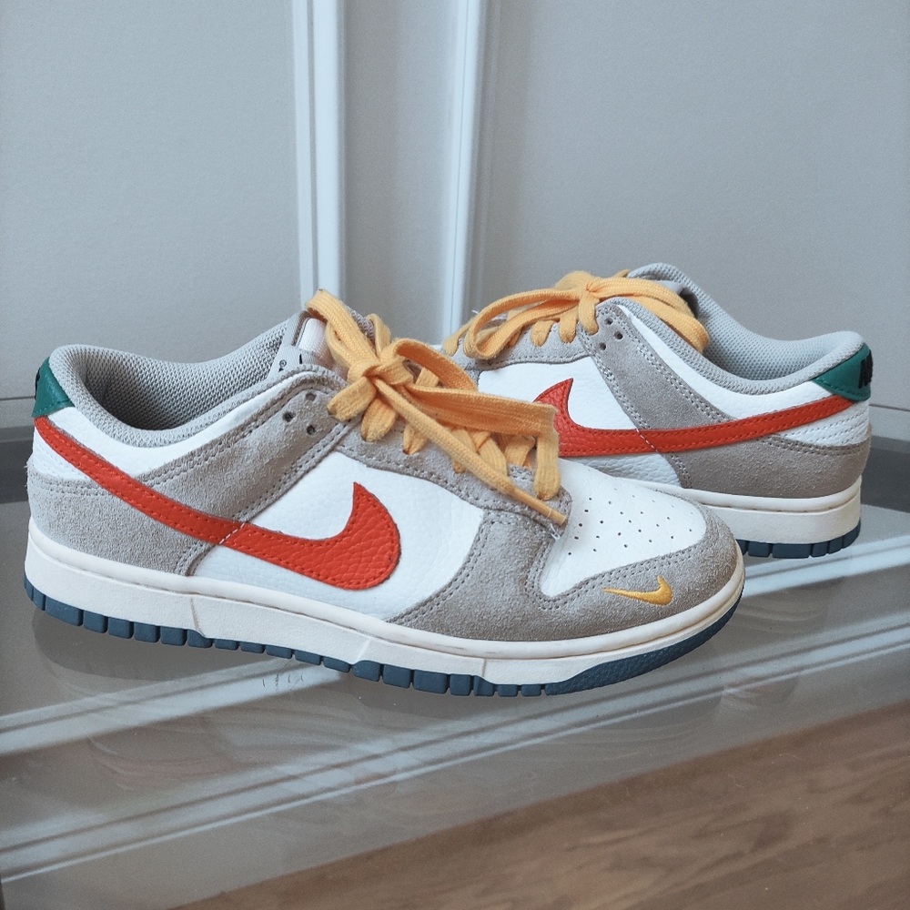 Nike Dunk Low Light Iron Ore Grey Red Yellow Blue DV3497-001 Men 6.5 Women 8